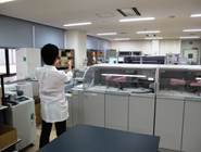 臨床化学検査(生化学一般項目) 臨床化学検査(生化学一般項目)